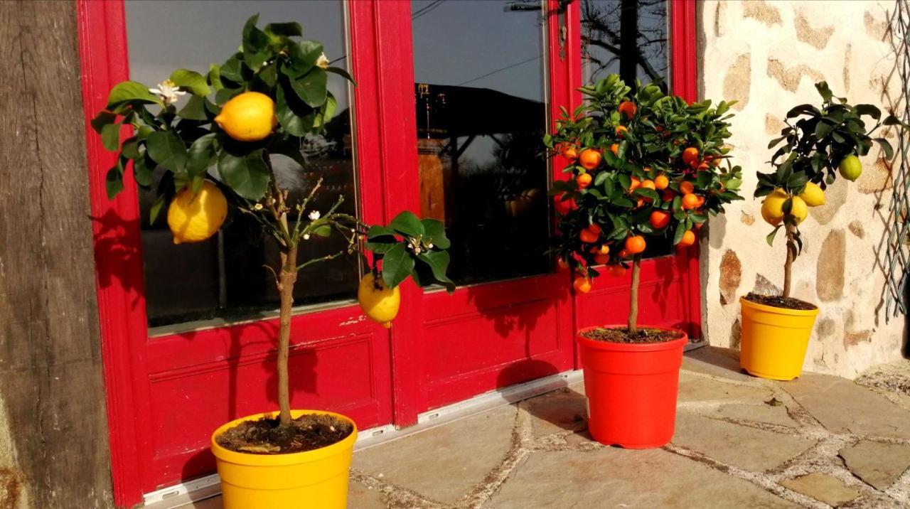 Bed and Breakfast La Grange Ancienne Montrollet Екстер'єр фото